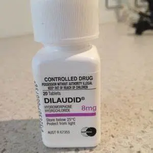 order dilaudid with overnight delivery service